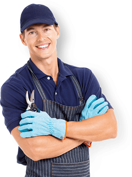 Image_02-1.png Image_02-1.png