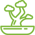 image_58.png image_58.png