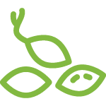 image_59.png image_59.png